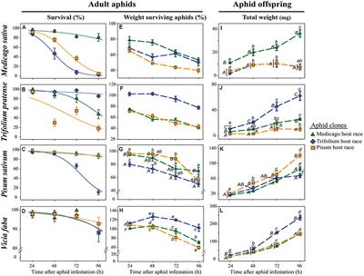 Modulation of Legume Defense Signaling Pathways by Native and Non-native Pea Aphid Clones